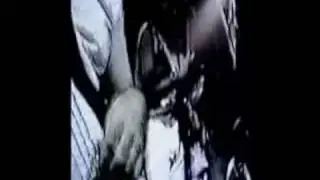 pumpupthebhangra