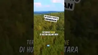 Rekaman Mengejutkan: Drone Merekam Pohon Bergoyang Misterius #shorts