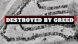 ANC's Democracy Nightmare: Proof Apartheid Kept SA Thriving Better!