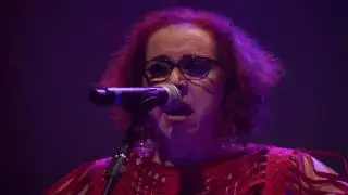 Cida Moreira -  