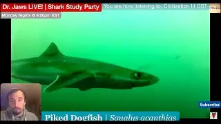 Dr. Jaws LIVE! #4 Piked Dogfish Study Party