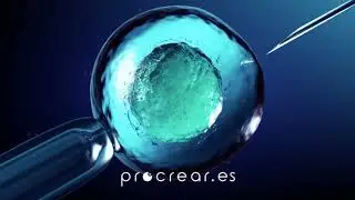 Procrear.es - Volvemos con Seguridad
