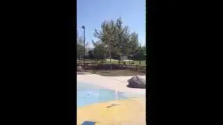 Eastvale CA - Dairyland Park