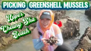 UNLIMITED PICKING GREENSHELL MUSSELS:HONG KONG ADVENTURE:UPPER CHEUNG SHA BEACH