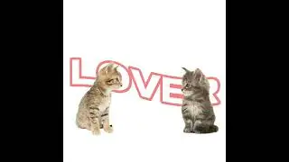 hey lover!