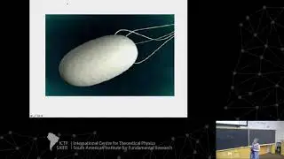 Challenges in active matter: connecting molecular and microscopic scales? - 1 of 3