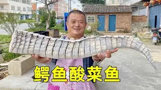 590買條鱷魚尾巴，阿胖山做鱷魚酸菜魚，真是道硬菜！
