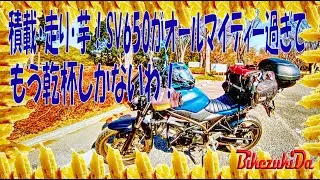 【SV650 MOTOVLOG】積載・走り・芋！SV650がオールマイティーすぎて、もう乾杯しかないわ！