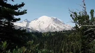 Mt Rainier Framed By Tree Branches Slow Motion Background | Motion Graphics - Videohive template