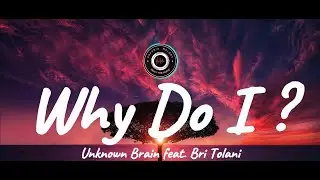 Why Do I ? - Unknown Brain feat. Bri Tolani (Lyrics)
