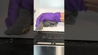 Cleaning Compilation!