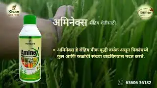 Aminex Organic certified product for all stages of the crop