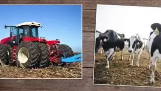 Estate Tax Harms Farm Families