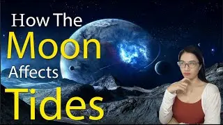 How the Moon Affects Tides - Cosmic Insight Lab
