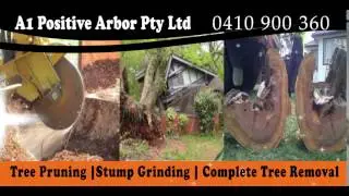 A1 Positive Arbor Pty Ltd