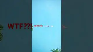 WTF Was That in the Sky?! Pink Jellyfish UFO Goes Viral! #uap #ufoキャッチャー #jellyfishufo #skywatcher