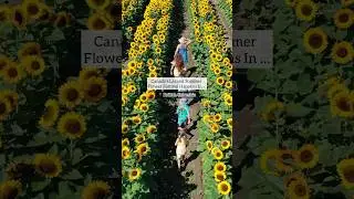 Canada&rsquo;s Largest Summer Flower Festival Happens In British Columbia