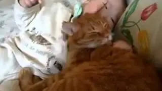 سبحان الله رحمة القط بالطفل !