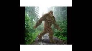 Bigfoot & other Cryptids with Researcher/Author Scott Carpenter