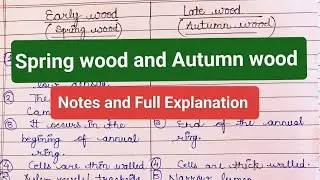 Difference between Spring wood and Autumn wood | Early wood and Late wood #diagram #notes #mscbotany