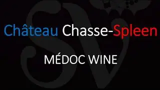 Winery Information & How to Pronounce Château Chasse-Spleen - Médoc Bordeaux Wine