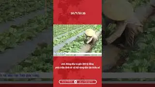 L&acirc;m Đồng đầu tư gần 300 tỷ đồng ph&aacute;t triển kinh tế  x&atilde; hội v&ugrave;ng d&acirc;n tộc thiểu số