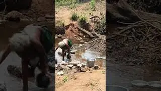 Adivasi Livelihood | Maredumilli | #maredumilli #gudisa # #tribalslife