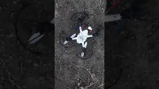 drone vs chicken!