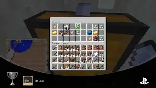 Minecraft: Trophies - Me Gold!