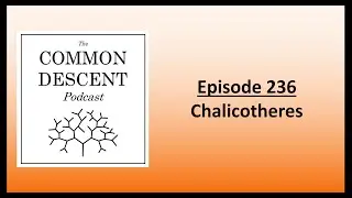 Episode 236 - Chalicotheres