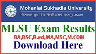 Mlsu BA 1st year result 2023 | Mlsu BA Arts Result 2023