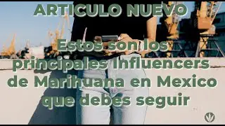 Estos Son Los Principales Influencers De Marihuana En Mexico Que Debes Seguir video