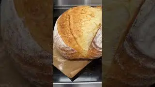 4 Steps to Sourdough Oven Spring, Open Crumb, and a Big Belly #sourdoughbread #sourdoughstarter