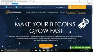 Bitpetite going really strong!