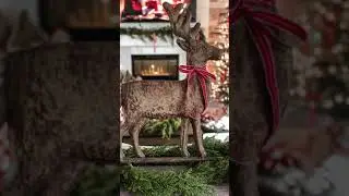 Comfort and Joy