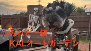 愛犬とKALオートガーデンでキャンプしてきました