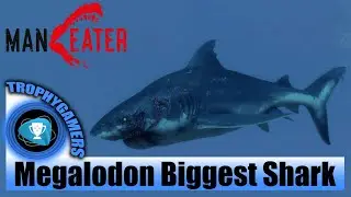 Maneater &ndash; Megalodon: Самая большая акула, геймплей &ndash; Jaws Unleashed