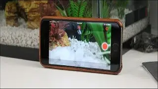 How to Automatically Start Recording with Manything Whenever a Door or Window Opens