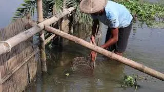 Amazing Fish Trap System | Applying this method will make fishing in the river very easy