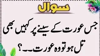 Top Islamic Questions Answers - UrduQuiz - Islamic Paheliyan - Islami SawalJawab - Islamic Quiz | Gk