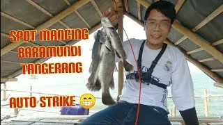 Mancing kakap putih Barramundi di Bagan Pertamina Teluknaga Tangerang || Bagan Barokah