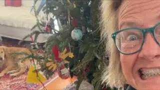 Удаление засохших деревьев