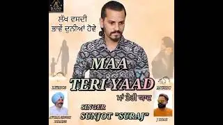 ਘਾਟ ਕਿਸੇ ਦੀ ਪਤਾ ਤੱਦ ਲੱਗਦਾ ਜਦੋਂ ਨਾ ਮਿਲੇ ਦੋਬਾਰਾ / Sunjot 