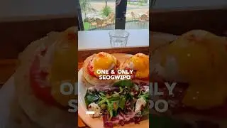 4 MUST VISIT CAFE IN JEJU