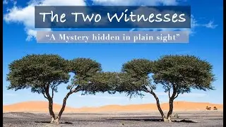 The Two Witnesses