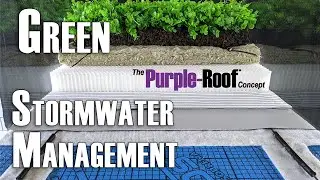 Purple-Roof Concept Live Model Video (Short)