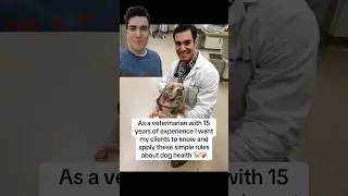 More dog owners should know this🙏#dog #dogowner #veterinarian #health #newjersey #usa