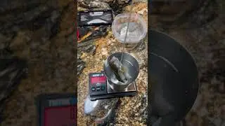 Specific Gravity Test for Gold in Quartz