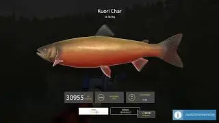 Russian Fishing 4 - Kuori Char 13kg