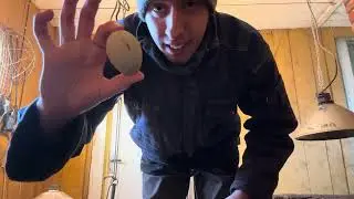5 &auml;gg fr&aring;n h&ouml;ns 🐔 